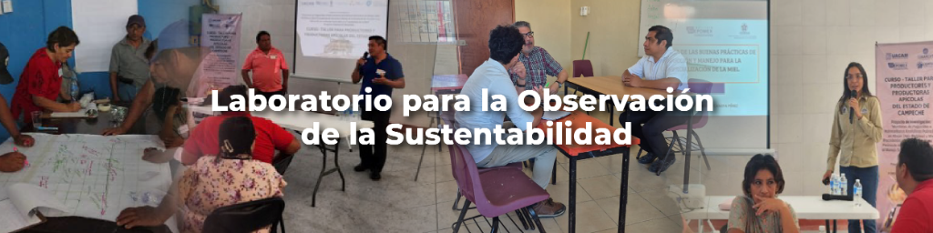 Web_CEDESU_Laboratorio para la Observación de la Sustentabilidad