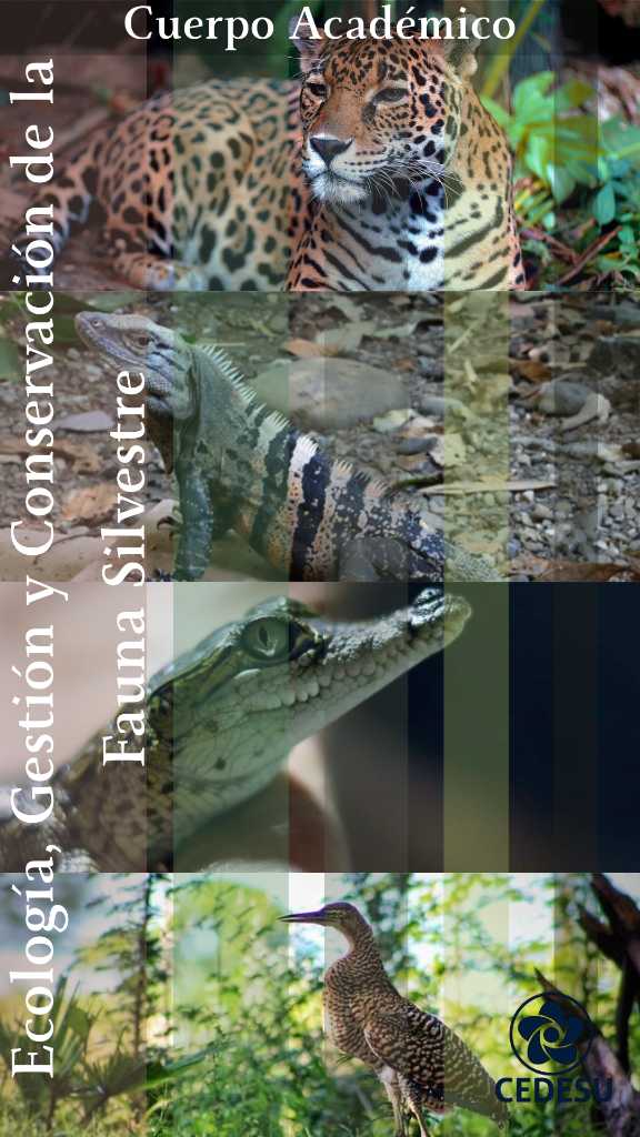 Ecologia