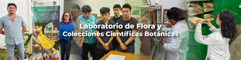 Web_CEDESU_Laboratorio de Flora y Colecciones Científicas Botánicas