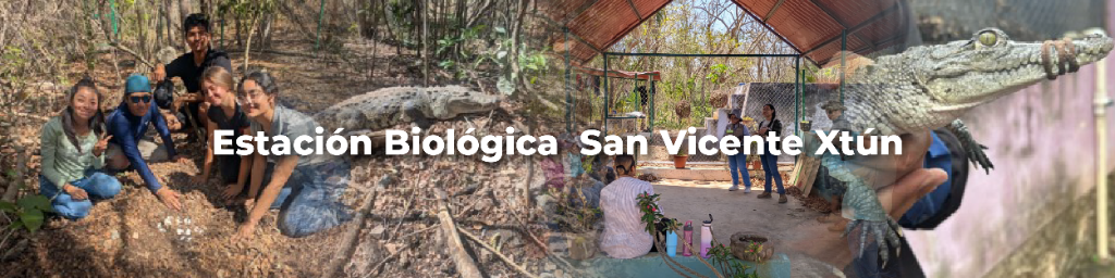 Web_CEDESU_ESTACIÓN BIOLOGICA XTUN